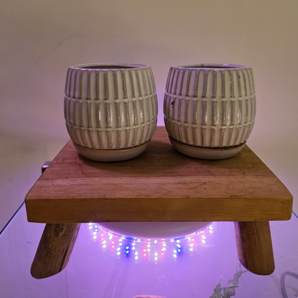 White Textured Ceramic Planters
